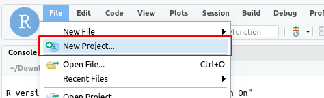 01_rstudio_file.png